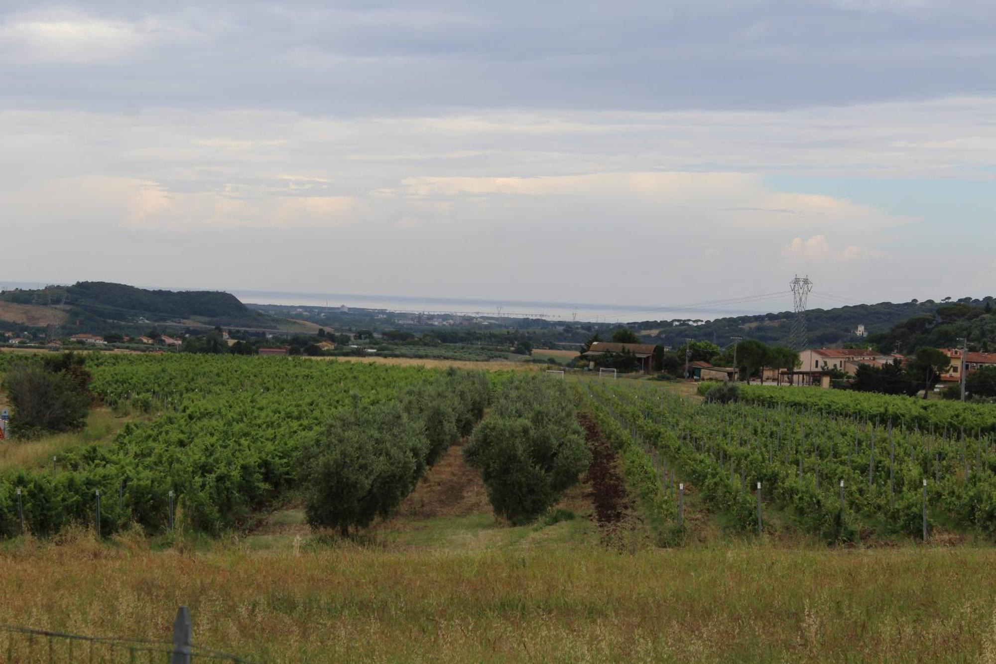 Casale Poggio Meone Διαμέρισμα Santa Luce Εξωτερικό φωτογραφία